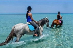 Horseback riding tour (morning)
