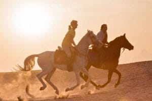 Horseback riding tour (afternoon)