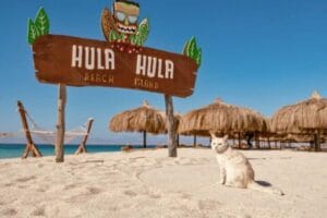 Остров Hula Hula (Paradise)